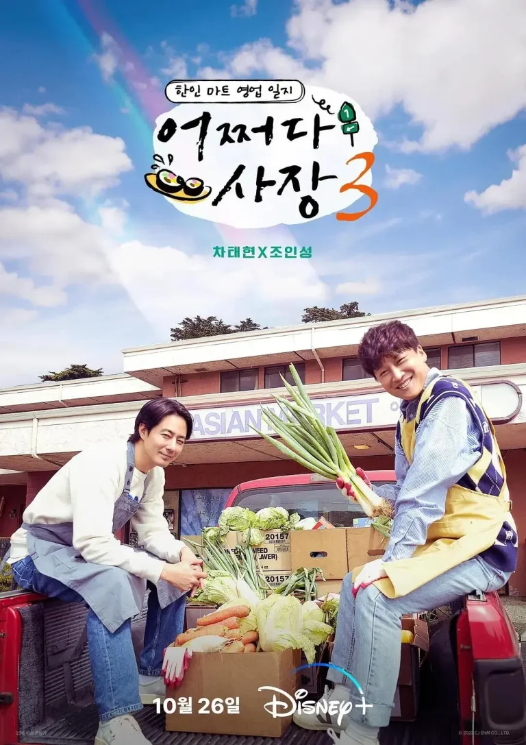 《偶然的社长第三季》全集高清完整版在线观看与剧情解析