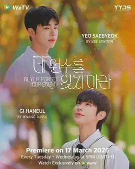 《别忘了你的仇人》全集高清完整版在线观看与剧情解析