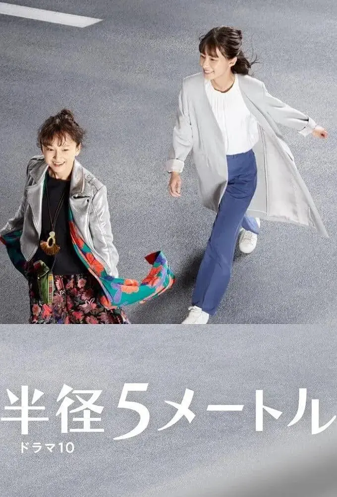 《半径5米》全集高清完整版在线观看与剧情解析