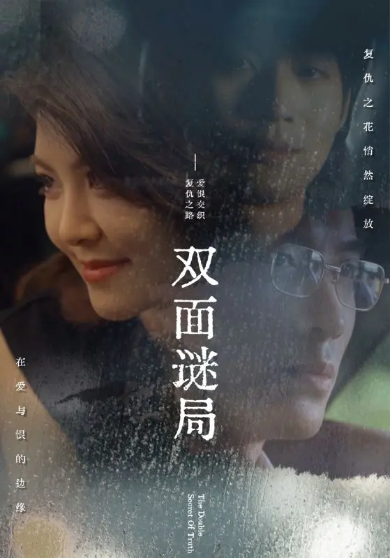 《双面谜局》全集高清完整版在线观看与剧情解析