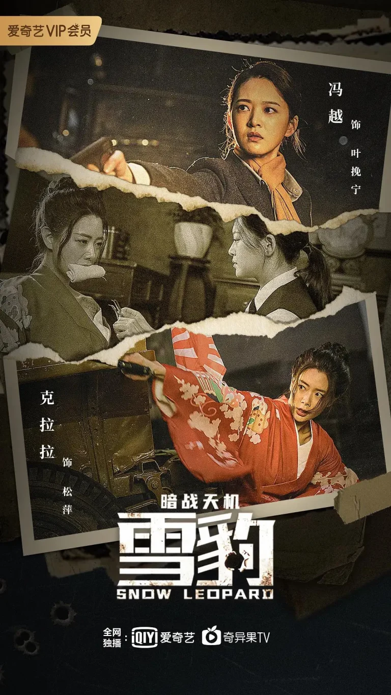 《雪豹之暗战天机》全集高清完整版在线观看与剧情解析