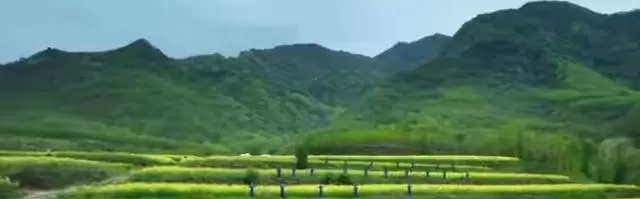 刘浩存主演电视剧《主角》央视一套开播，张艺谋监制王菲献唱主题曲 情报图